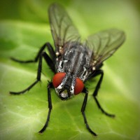 /album/tyaverpilanru/photolia-a01-jpg/