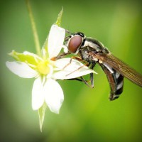 /album/tyaverpilanru/photolia-a02-jpg/