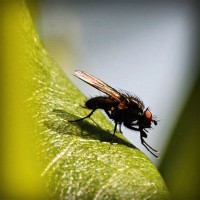 /album/tyaverpilanru/photolia-a04-jpg/