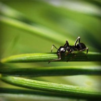 /album/tyaverpilanru/photolia-a05-jpg/