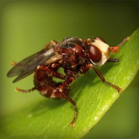 /album/tyaverpilanru/photolia-a06-jpg/