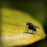 /album/tyaverpilanru/photolia-a07-jpg/